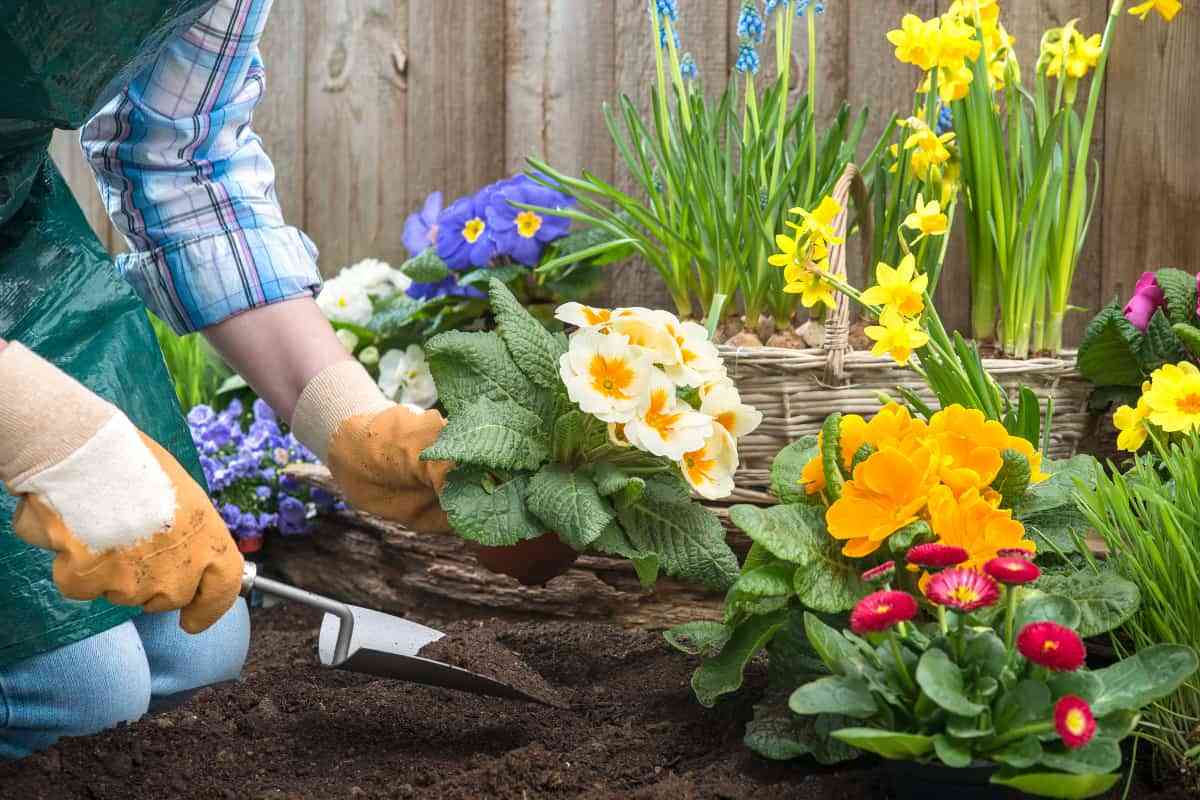 Ideas para tener un jardín perfecto esta primavera 4
