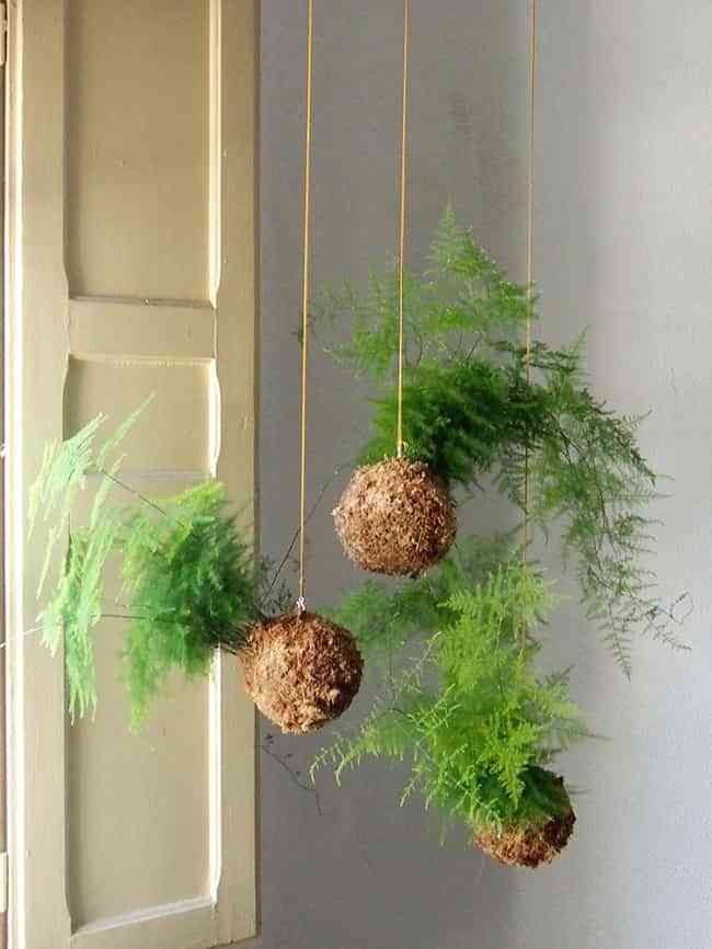 Kokedama o cómo decorar la casa con plantas sin maceta 2