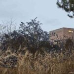 vivienda ecológica Atelier_Stepan_Freedomky 1 jpg