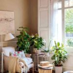 plantas de interior 11