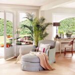 plantas de interior 15