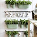 plantas de interior 17