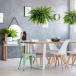 plantas de interior 20