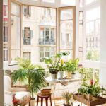 plantas de interior 3