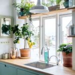 plantas de interior 7