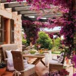 Plantas trepadoras 11