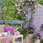 Plantas trepadoras 2