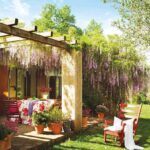 Plantas trepadoras 9