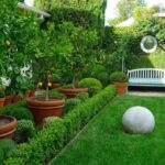 Árboles para jardín 6