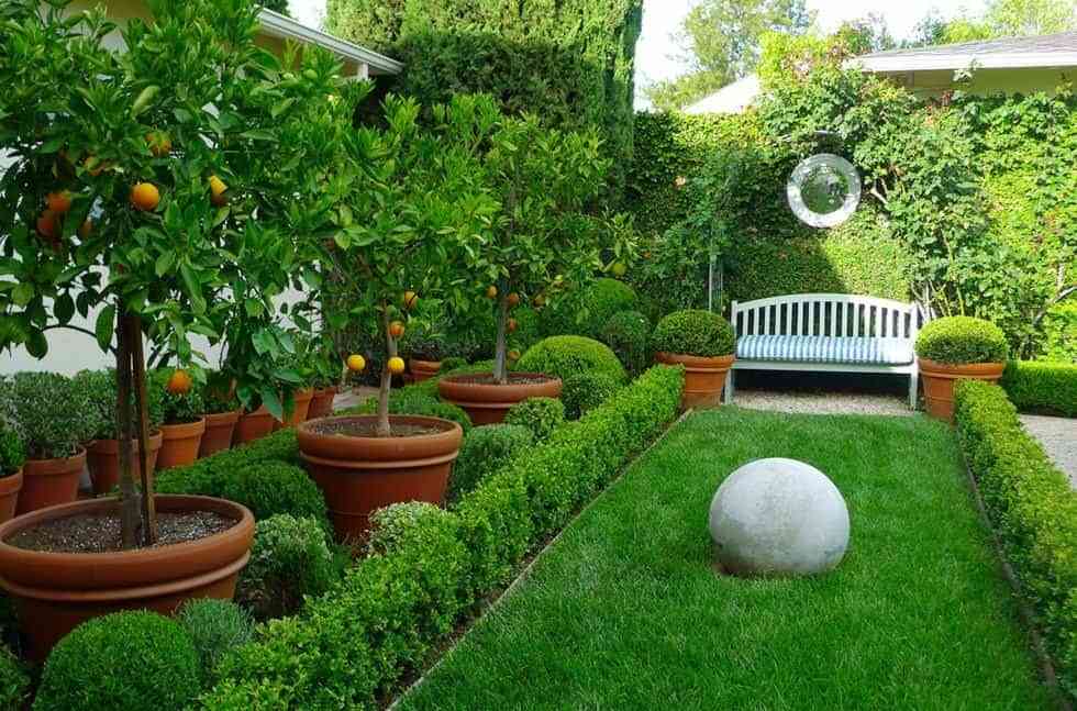 Árboles para jardín: consejos para su mantenimiento y poda