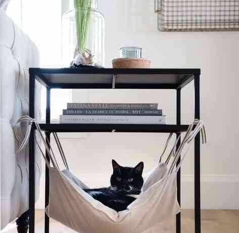 Diseño interior para mascotas. Porque ellos también son parte de la familia