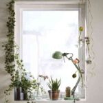 flexo en el salon IX