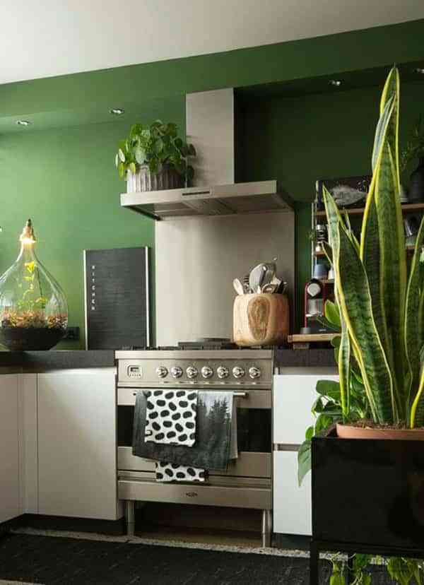 Decora tu casa en verde y llénala de frescor y vitalidad 7