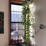 decorar con plantas colgantes