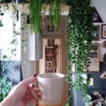 decorar con plantas colgantes II