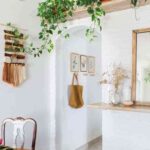 decorar con plantas colgantes III