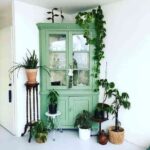 decorar con plantas colgantes VII