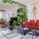 decorar con plantas colgantes X