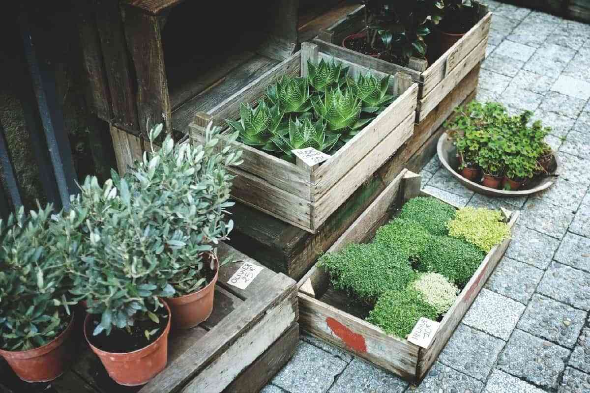 Cómo transformar un patio pequeño en un vergel urbano 4