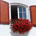 ventilacion natural hogar 1