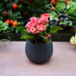 ventilacion natural hogar 3