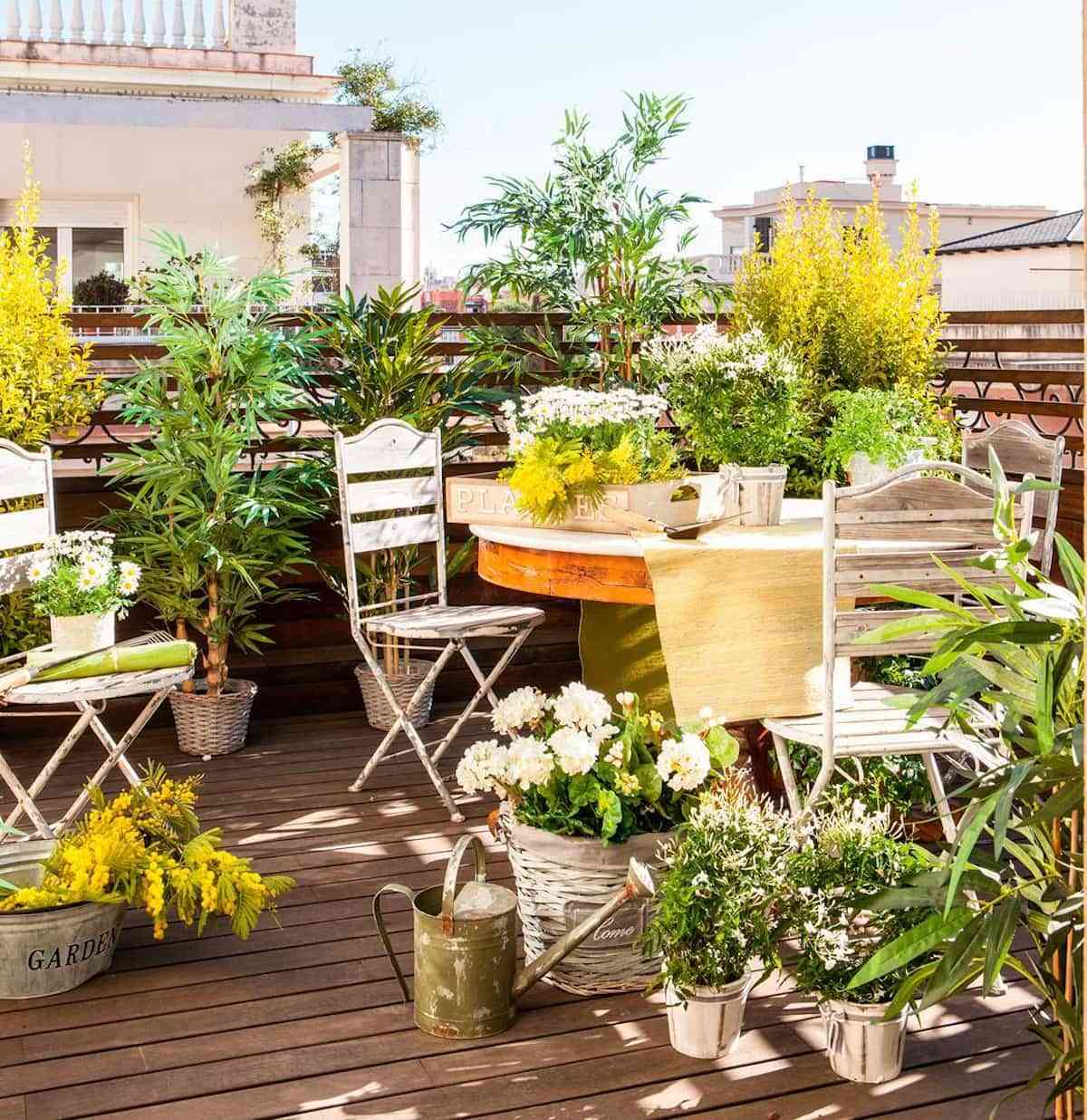 Decora tu balcón con encanto y disfruta de un pequeño oasis en la ciudad 1
