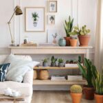 Cómo ser más feliz en casa durante la cuarentena 10