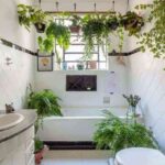 decorar con plantas colgantes