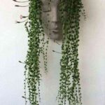 decorar con plantas colgantes II