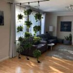decorar con plantas colgantes IV