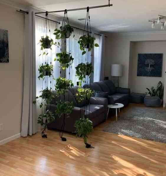 ampliar promesa Panorama 8 formas de decorar con plantas colgantes en casa