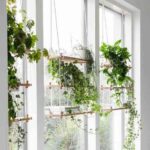 decorar con plantas colgantes V