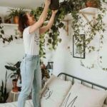decorar con plantas colgantes VI