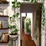 decorar con plantas colgantes VIII