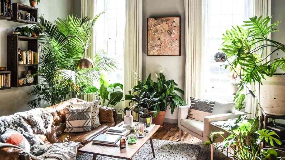 Garden room: llena cada estancia de tu casa de plantas
