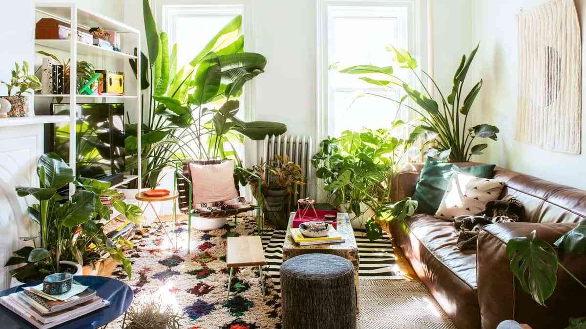 Garden room: llena cada estancia de tu casa de plantas 3