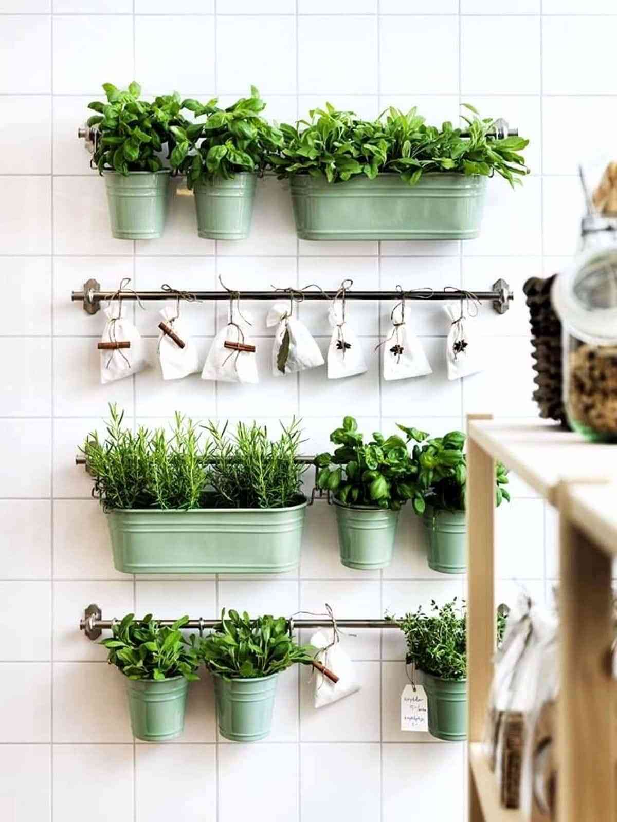 Garden room: llena cada estancia de tu casa de plantas 12