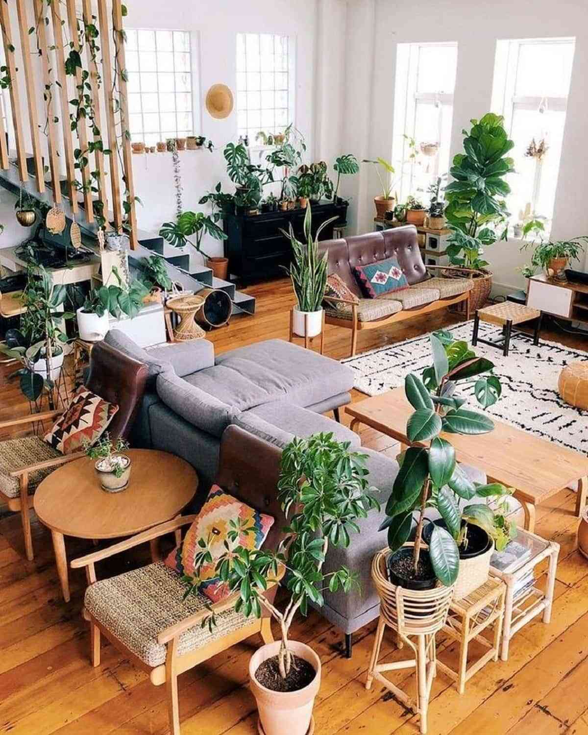 Garden room: llena cada estancia de tu casa de plantas 2