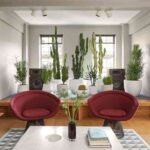 Garden room llena tu casa de plantas 8