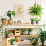 Descubre cómo la decoración te ayuda a refrescar la casa 2