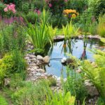 Como crear un jardín de lluvia 3