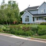 Como crear un jardín de lluvia 6