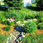 Como crear un jardín de lluvia 7