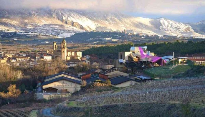 Bodegas 2