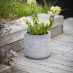Garden Trading Brockwell Planter Small