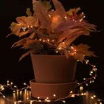 guirnaldas led plantas