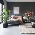 Descubre la planta que está de moda en decoración Strelitzia 3