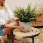 Helecho-April-Plants