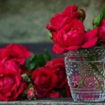 roses-821705_1280-portada