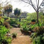 Ideas para tener un jardín sostenible de bajo mantenimiento 2